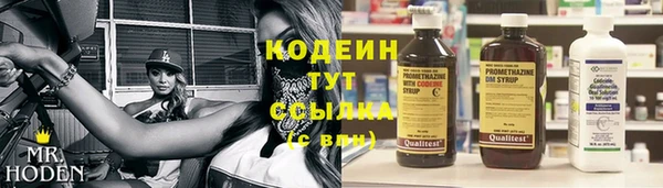 шишки Беломорск