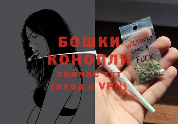 шишки Беломорск