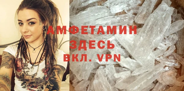 шишки Беломорск
