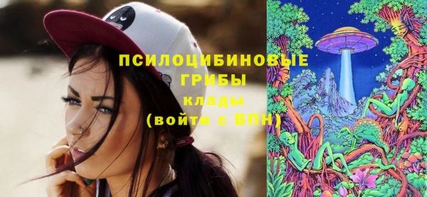 шишки Беломорск