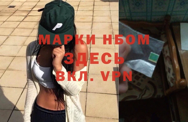 шишки Беломорск