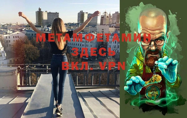 шишки Беломорск