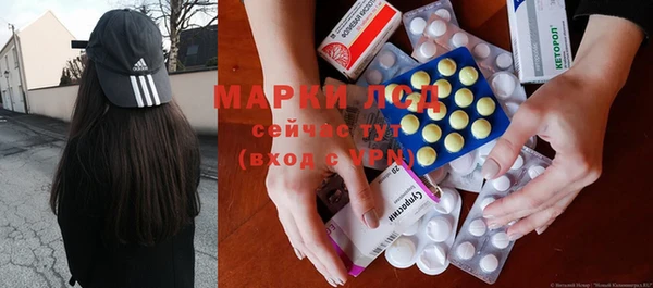 шишки Беломорск