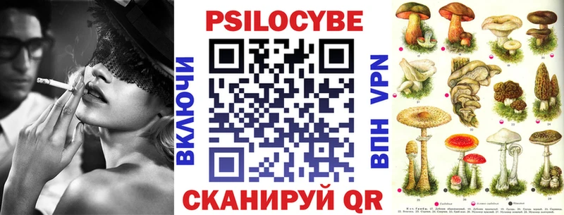 Галлюциногенные грибы Psilocybine cubensis  Мезень 